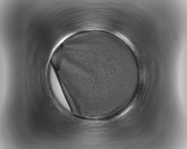 X0000086050885200704091207