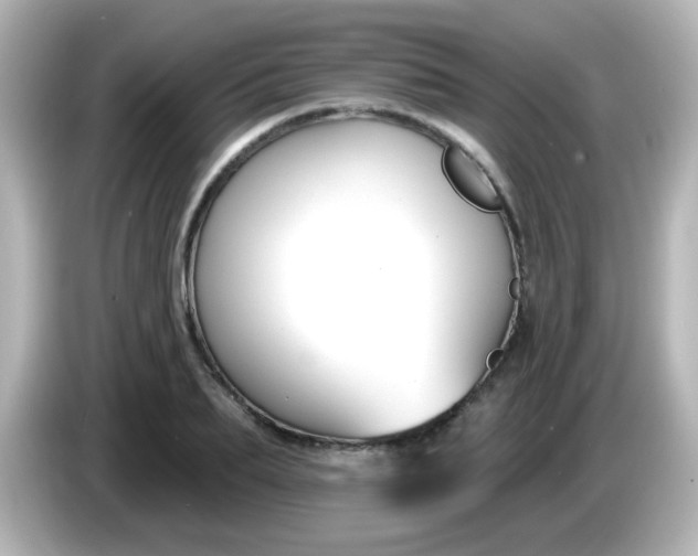 X0000086050887200704091207