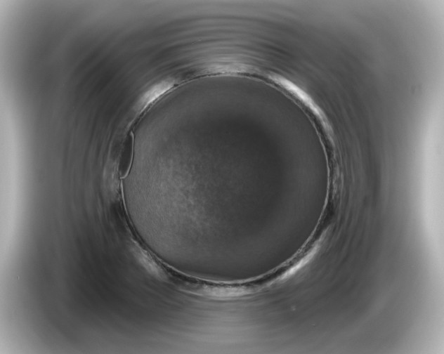 X0000086050889200704091207