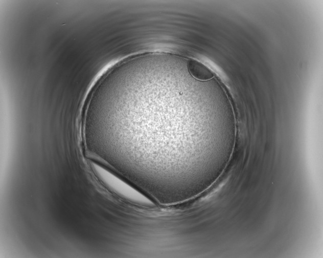 X0000086050891200704091207