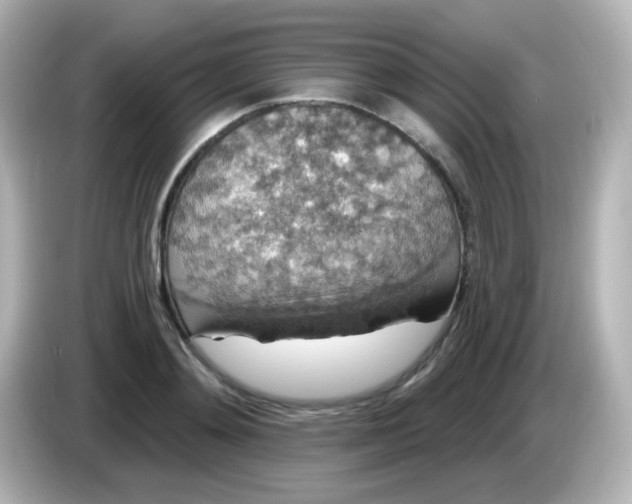 X0000086050892200704091207
