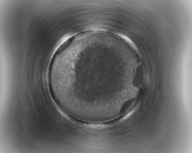 X0000086050893200704091207