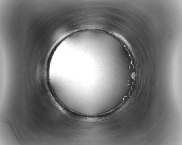 X0000086050894200704091207
