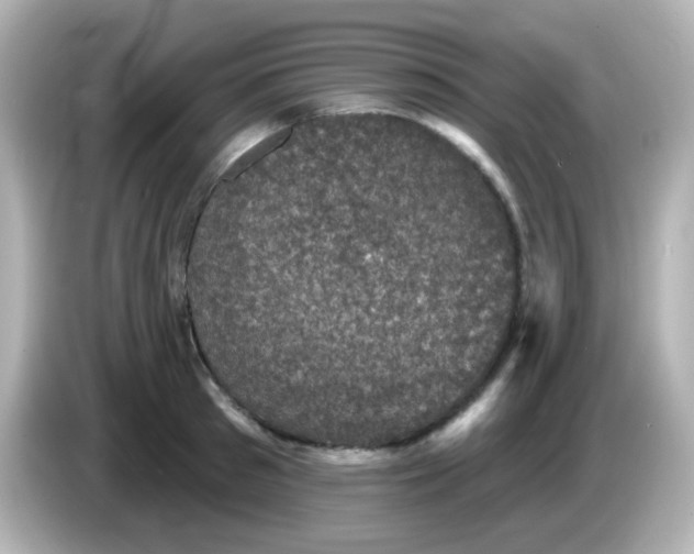 X0000086050897200704091207
