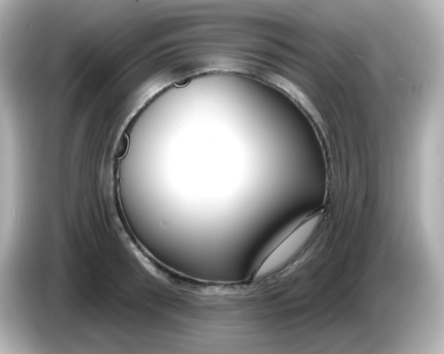X0000086050898200704091207