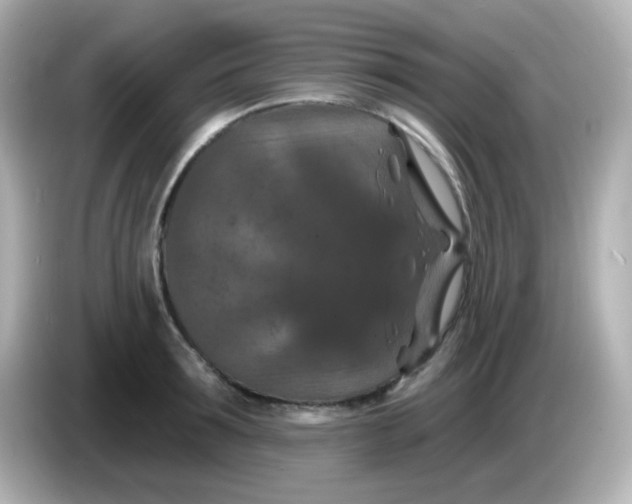 X0000086050899200704091207