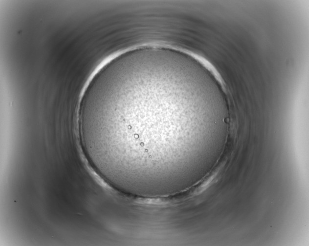 X0000086050903200704091207