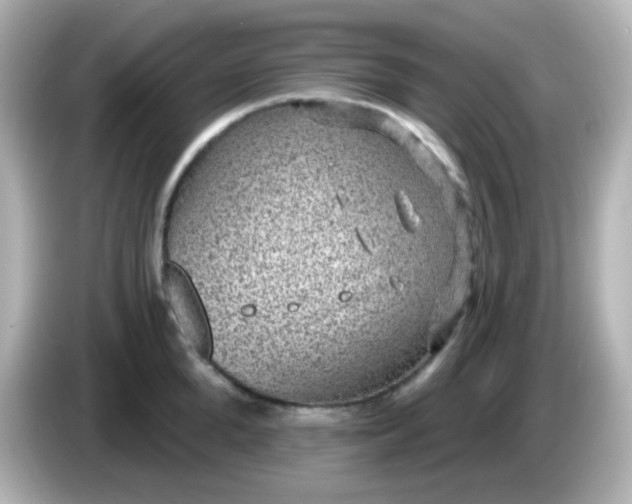 X0000086050904200704091207