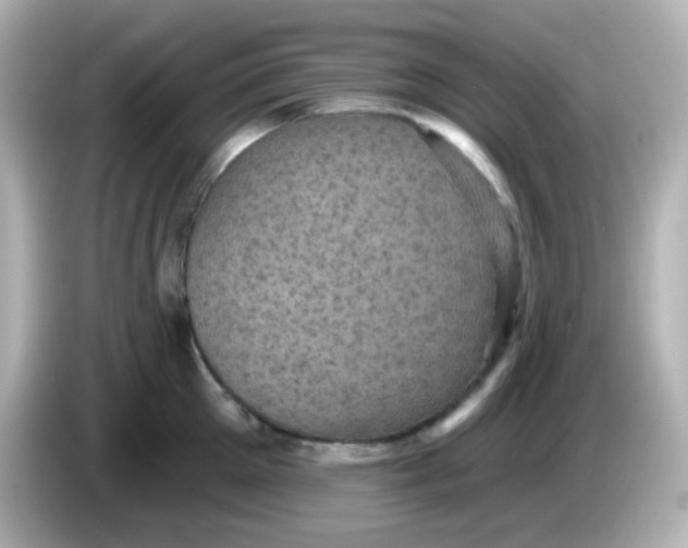 X0000086050905200704091207