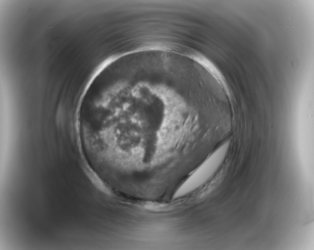 X0000086050907200704091207