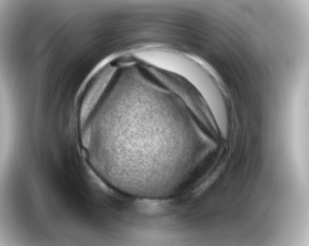 X0000086050910200704091207
