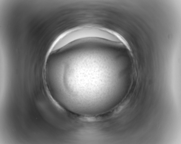 X0000086050911200704091207