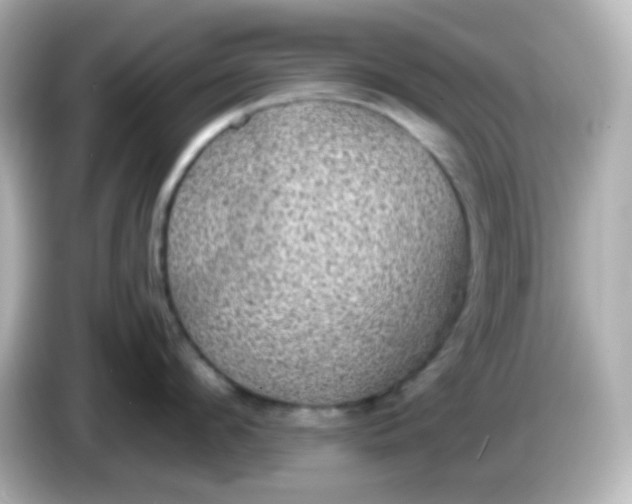 X0000086050912200704091207