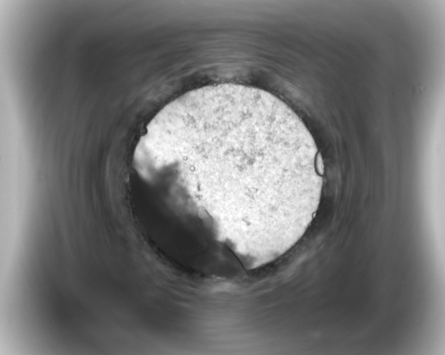 X0000086050913200704091206