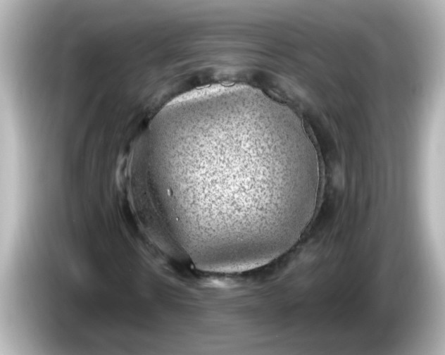 X0000086050914200704091206