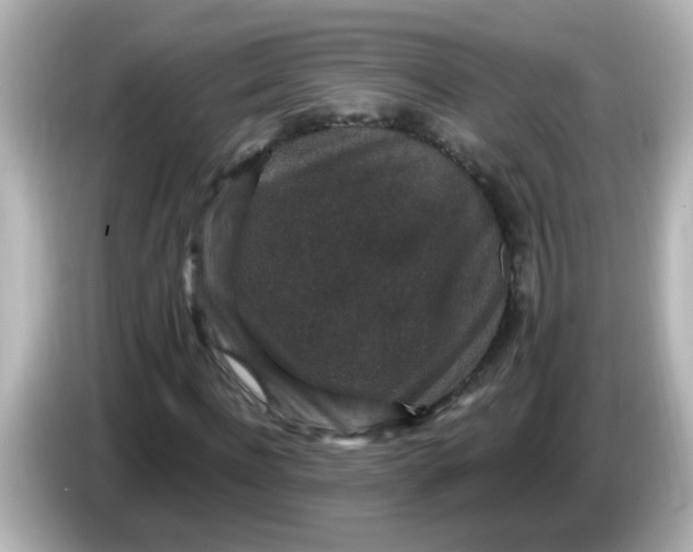 X0000086050916200704091207