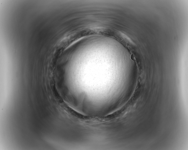X0000086050917200704091207