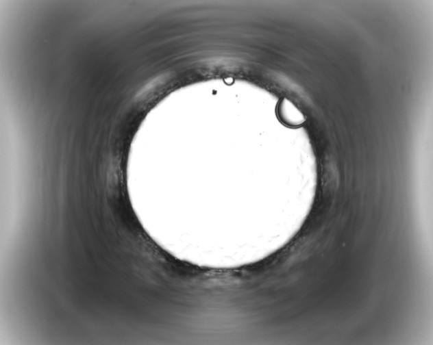 X0000086050918200704091207