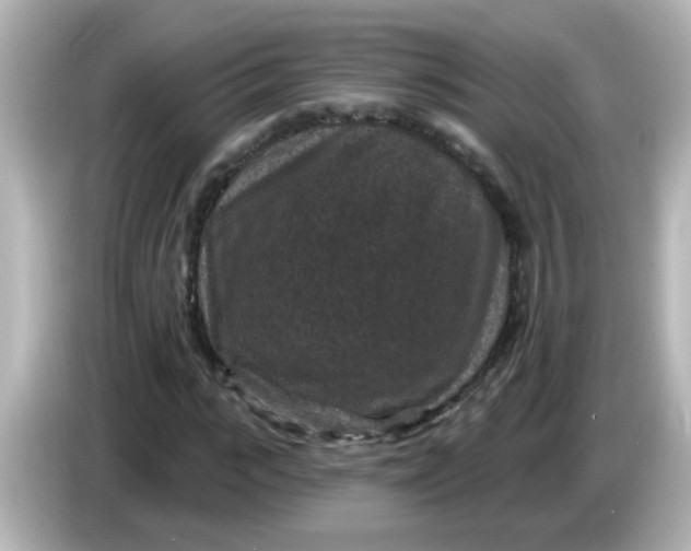 X0000086050919200704091207