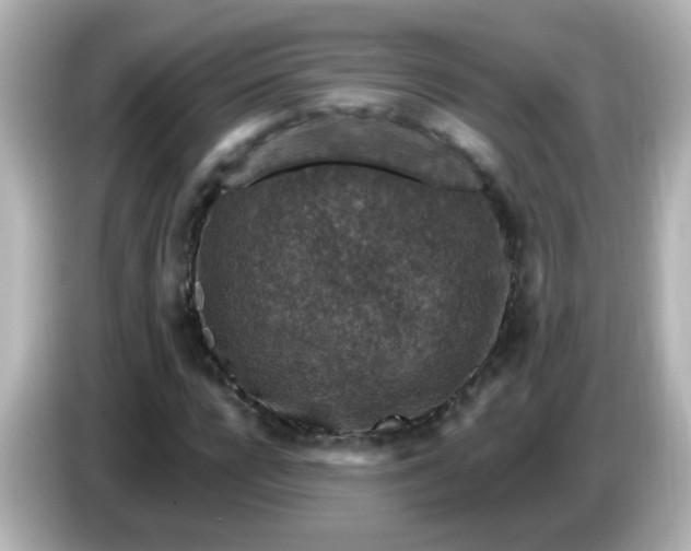 X0000086050920200704091207