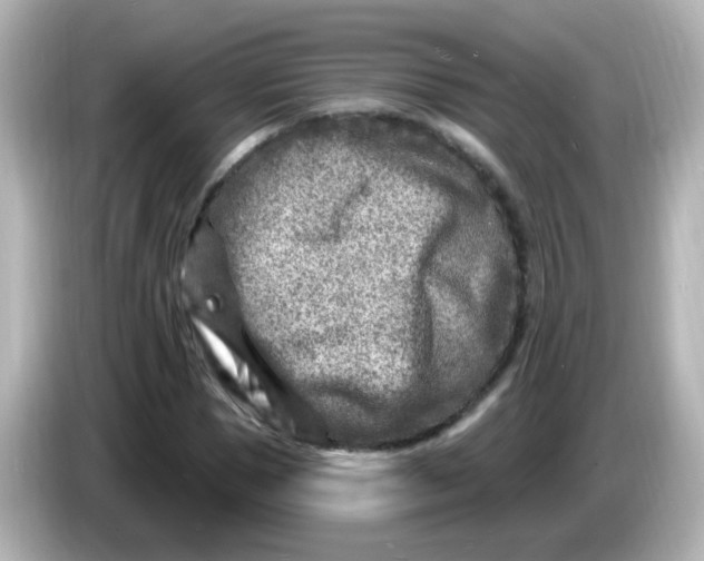 X0000086050921200704091207