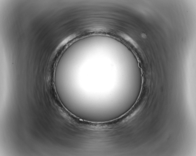 X0000086050922200704091207