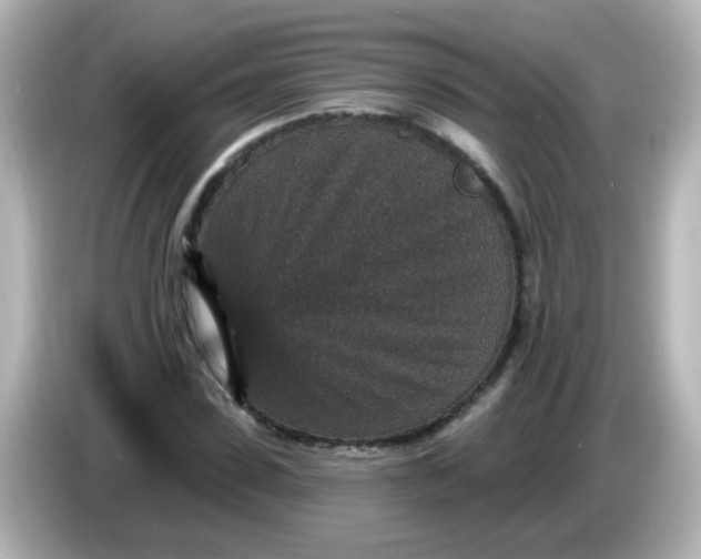 X0000086050923200704091207