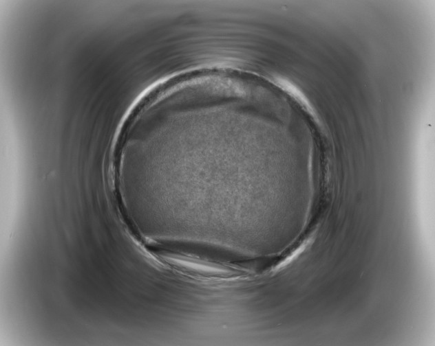 X0000086050924200704091207