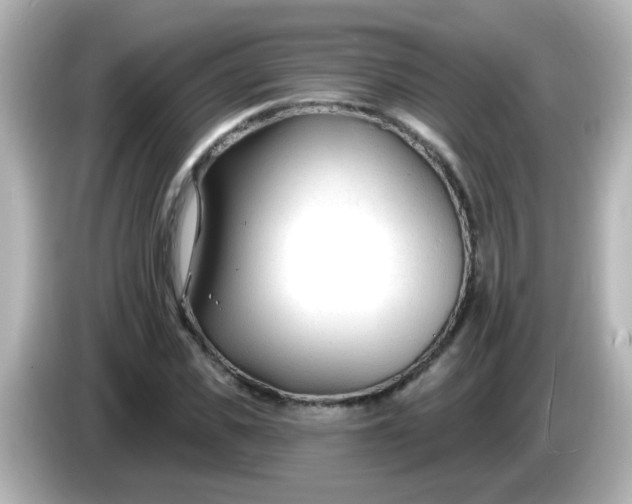 X0000086050925200704091207