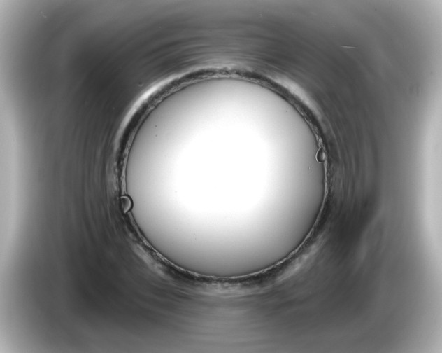 X0000086050927200704091207