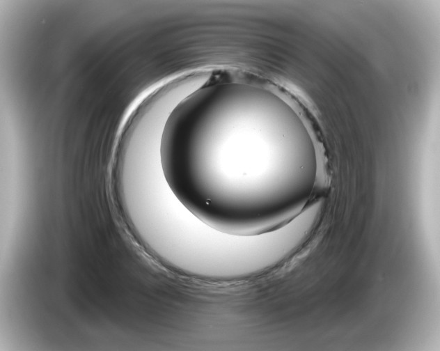 X0000086050928200704091207