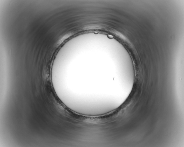 X0000086050929200704091207