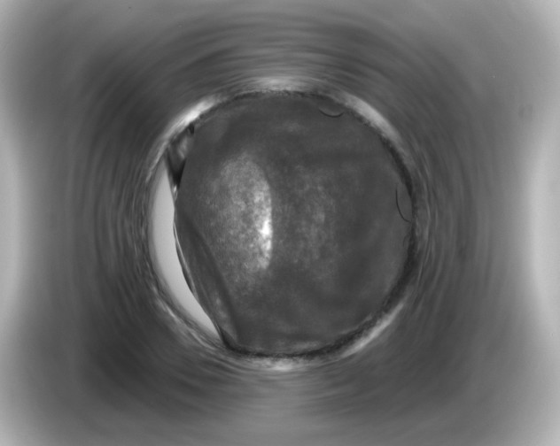 X0000086050930200704091207