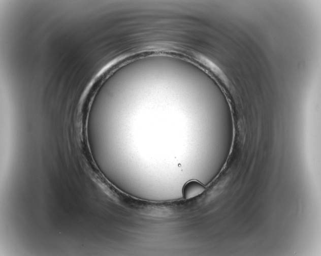 X0000086050931200704091207