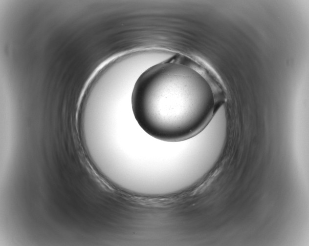 X0000086050932200704091207