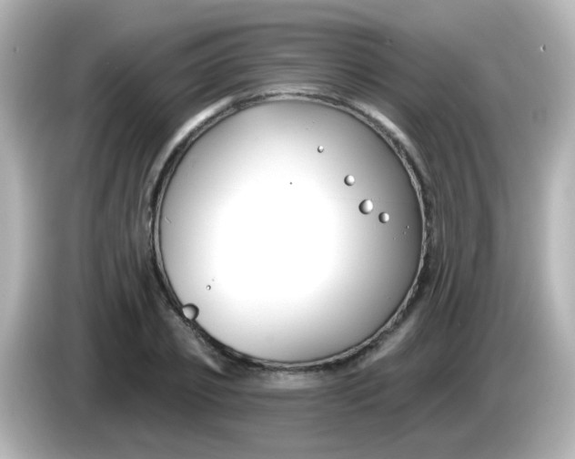 X0000086050933200704091207