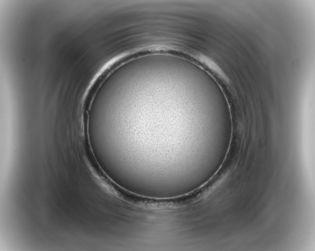 X0000086050934200704091207