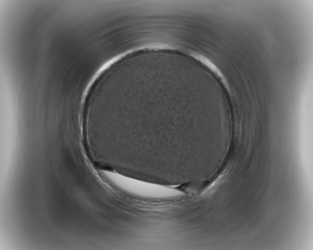 X0000086050935200704091207