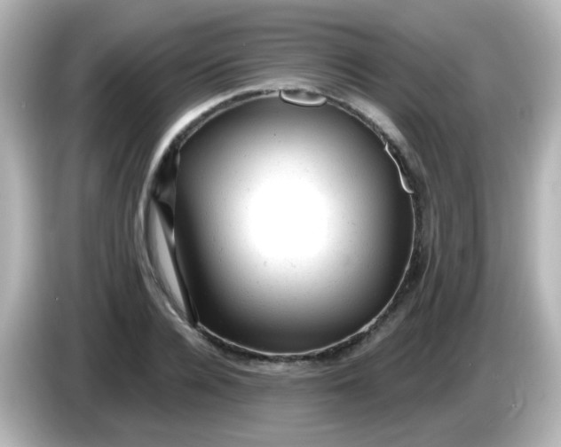 X0000086050936200704091207