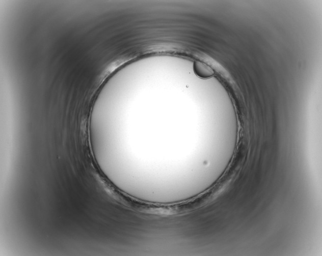 X0000086050937200704091207