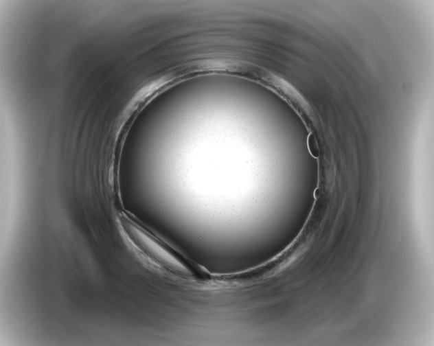 X0000086050938200704091207