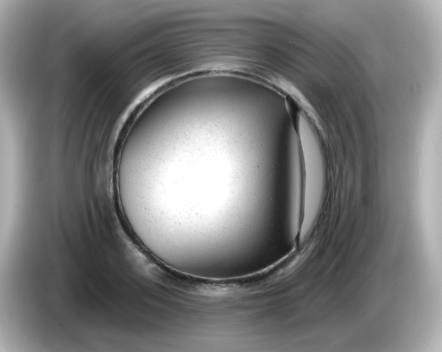X0000086050939200704091207