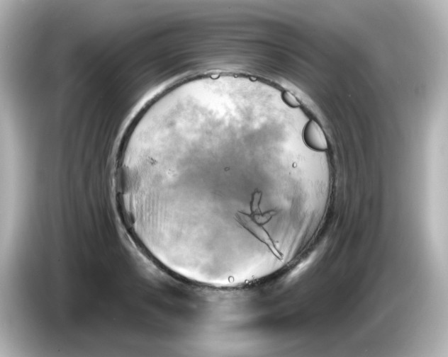 X0000086050941200704091207