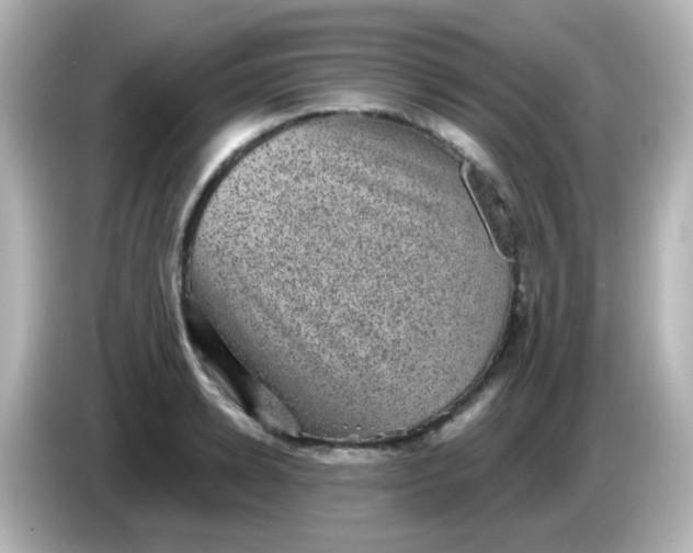 X0000086050942200704091207