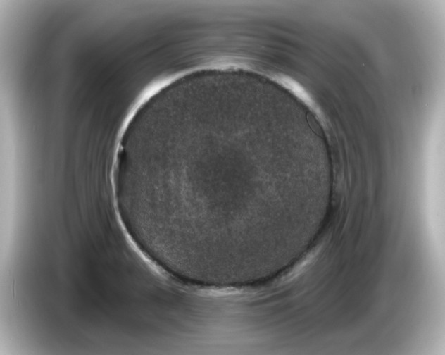 X0000086050943200704091207