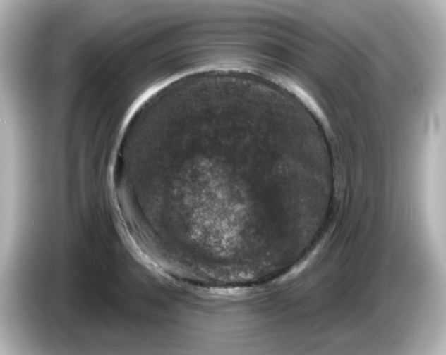 X0000086050944200704091207