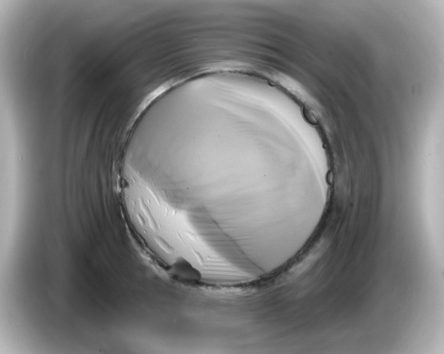 X0000086050945200704091207