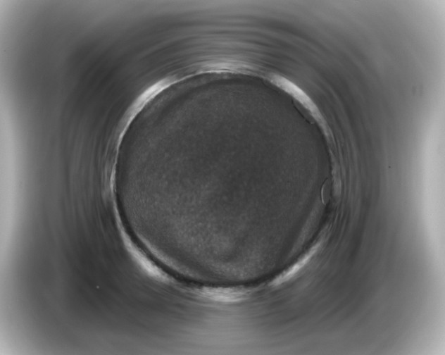 X0000086050946200704091207