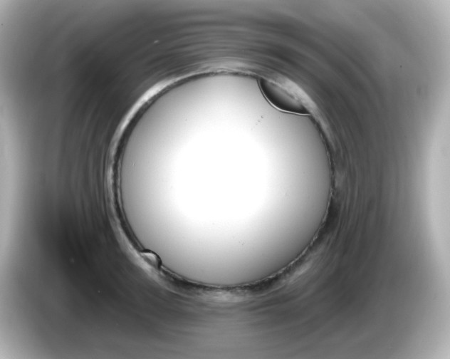 X0000086050947200704091207