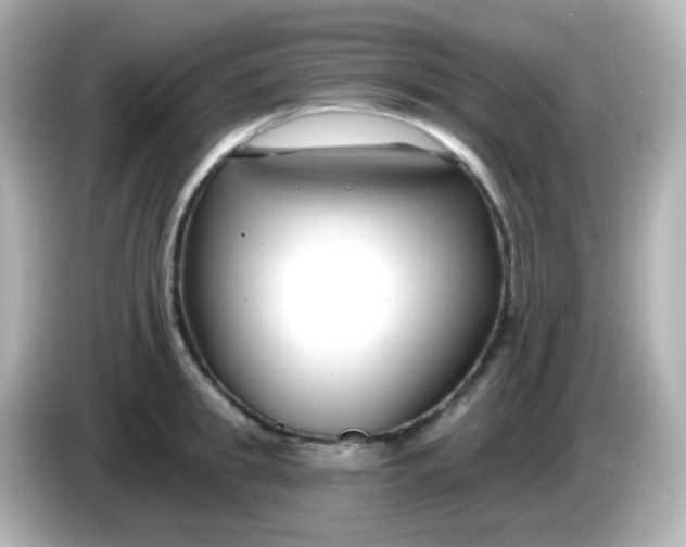 X0000086050949200704091207